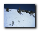 2006-04-29 Rose (33) cornices and slides